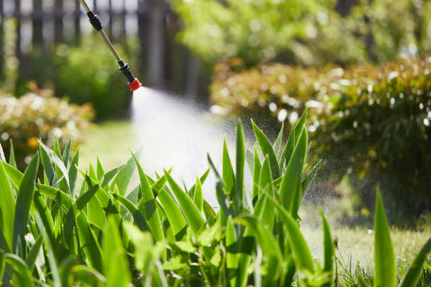 Tamper-Resistant Bait Stations for Rodents in Ridgemark
