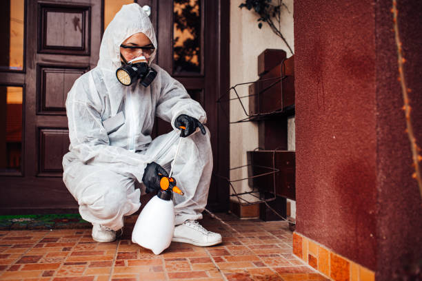 Attic and Crawl Space Rodent Treatment in Ridgemark