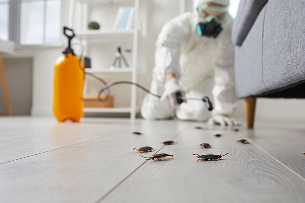 Commercial Rodent Management in Ridgemark